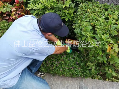 九江绿化施药灭鼠