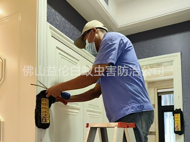 里水住宅白蚁防治工程