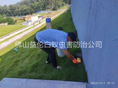 芦苞堤坝鼠害防治工程