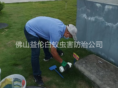 乐平灭除红火蚁工程