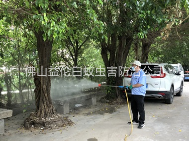 桂城社区四害消杀工程